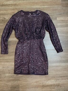 Express Plum Sequin Mini Dress